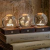 Animal Crystal Ball Lights
