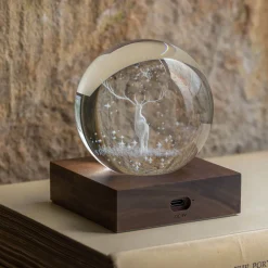 Animal Crystal Ball Lights