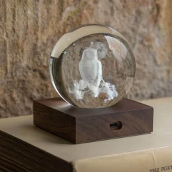 Animal Crystal Ball Lights