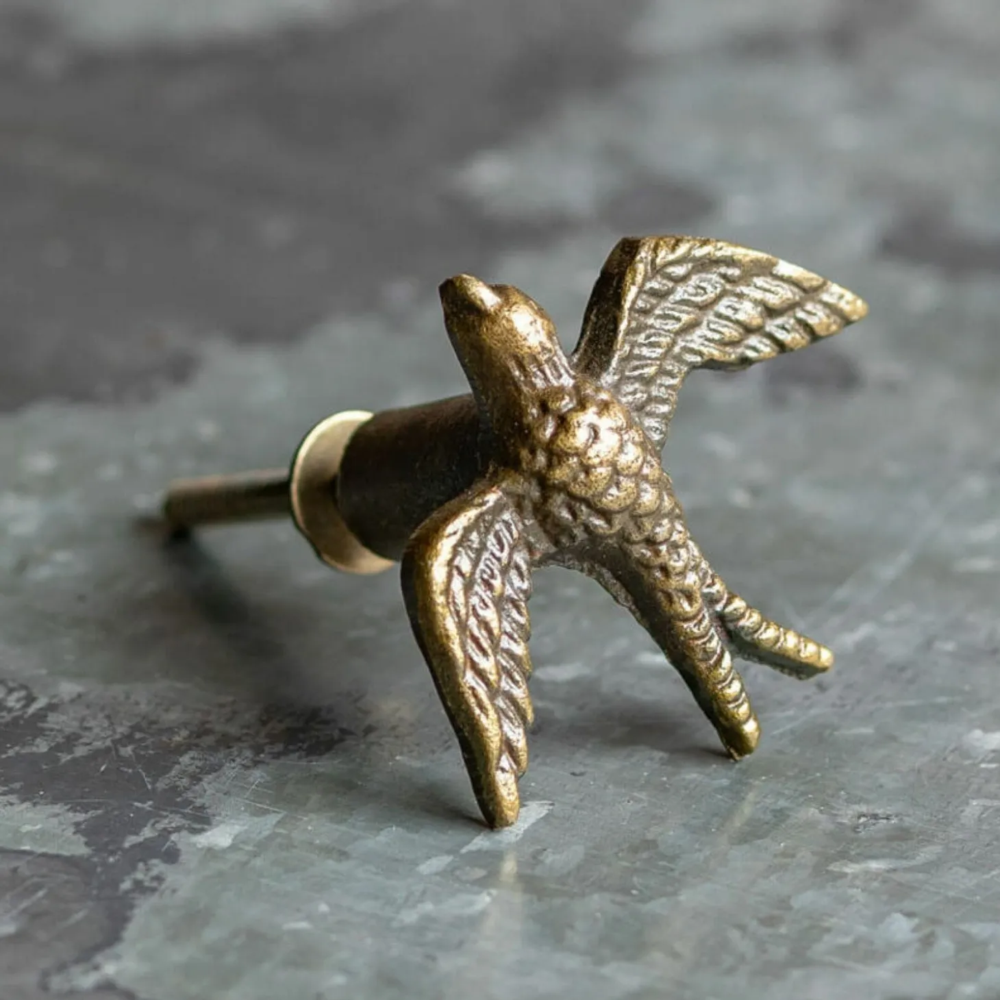 Antique Gold Swallow Metal Knob
