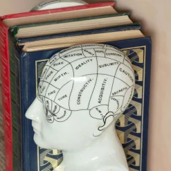 Antiqued Phrenology Head Bookends