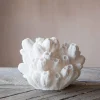 Arbuscular Coral Lamp