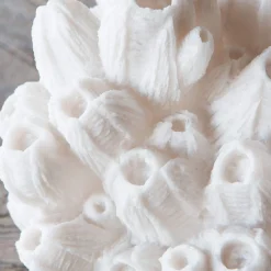 Arbuscular Coral Lamp