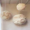 Aurora Brown Feather Pendant Shades