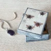 Bee Print Bone Box