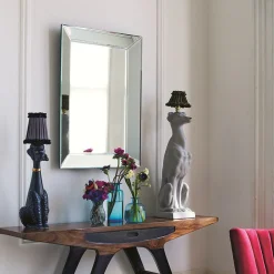 Bevelled Edge Mirrors