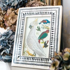 Black and White Print Bone Frame
