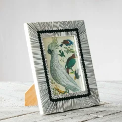 Black and White Sketch Bone Frame