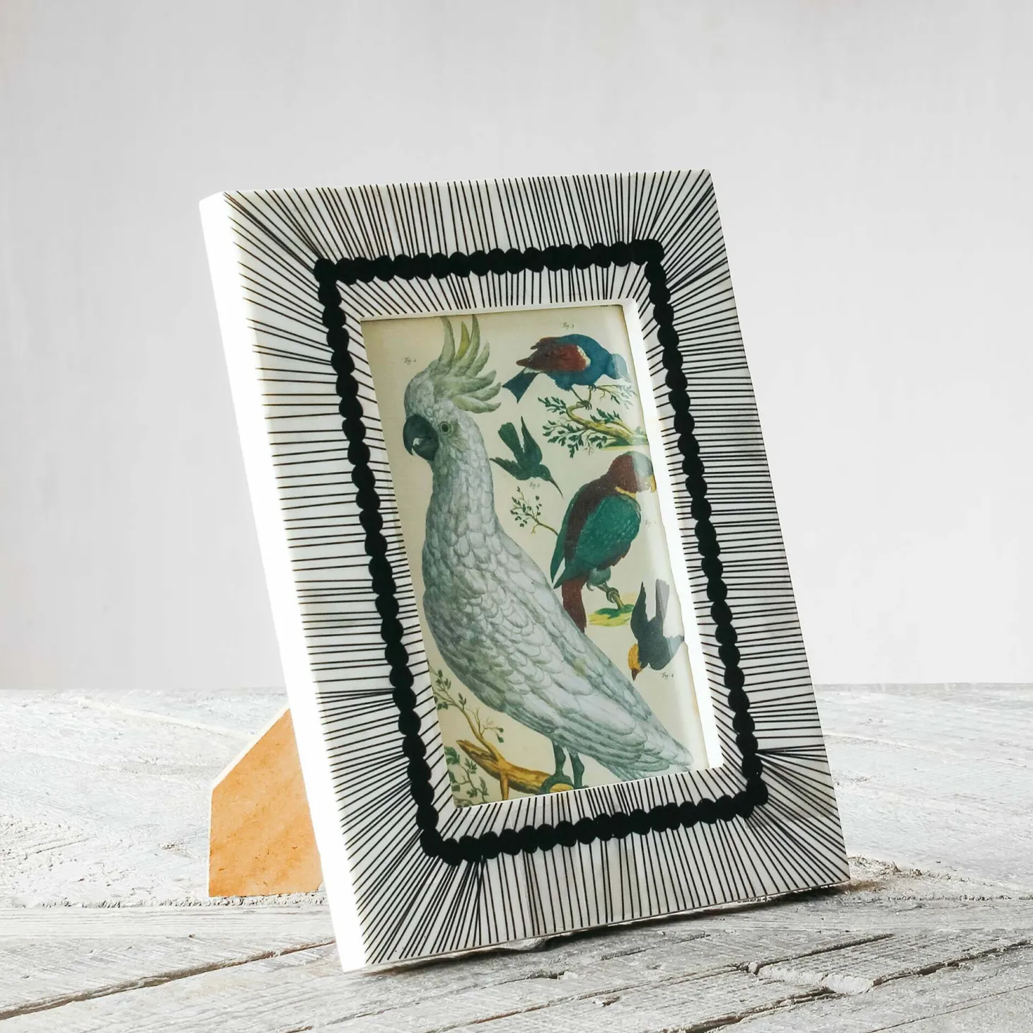 Black and White Sketch Bone Frame
