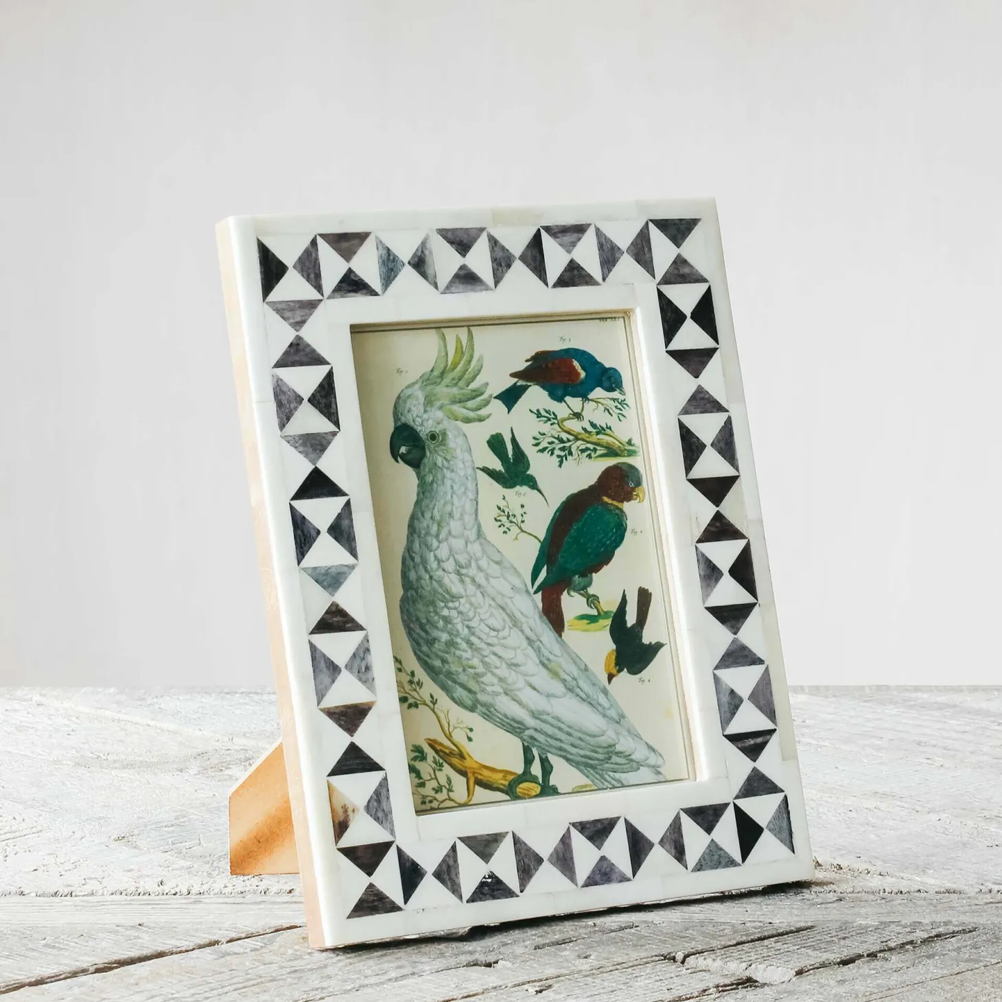 Black and White Triangles Bone Frame