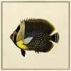 Black Fish Print with Oak Frame