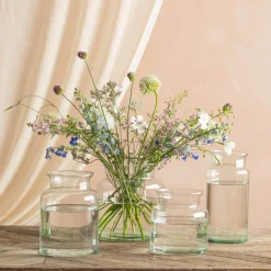Broadwell Clear Glass Vases