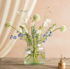 Broadwell Clear Glass Vases