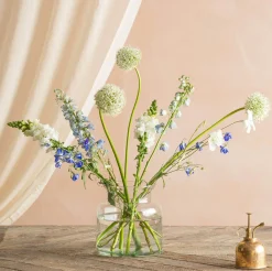 Broadwell Clear Glass Vases