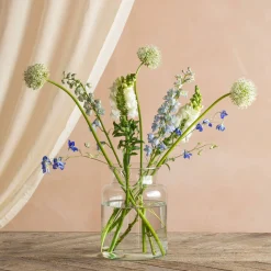Broadwell Clear Glass Vases