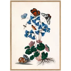 Butterflies and Blue Print with Oak Frames