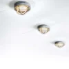 Chamonix Spotlight