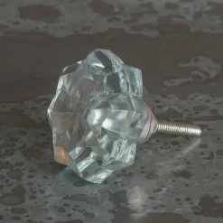 Clear Glass Floral Knob