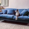 Clio Sofa Collection