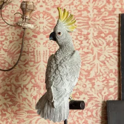Cockatoo on a Perch