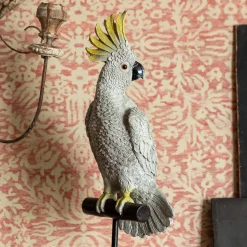 Cockatoo on a Perch