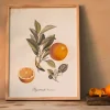 Crowned Bitter Orange Print with Oak Frame