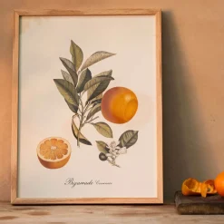 Crowned Bitter Orange Print with Oak Frame
