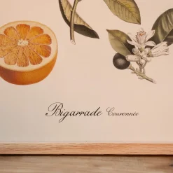Crowned Bitter Orange Print with Oak Frame
