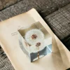 Dandelion Paperweight