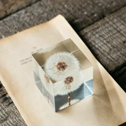 Dandelion Paperweight