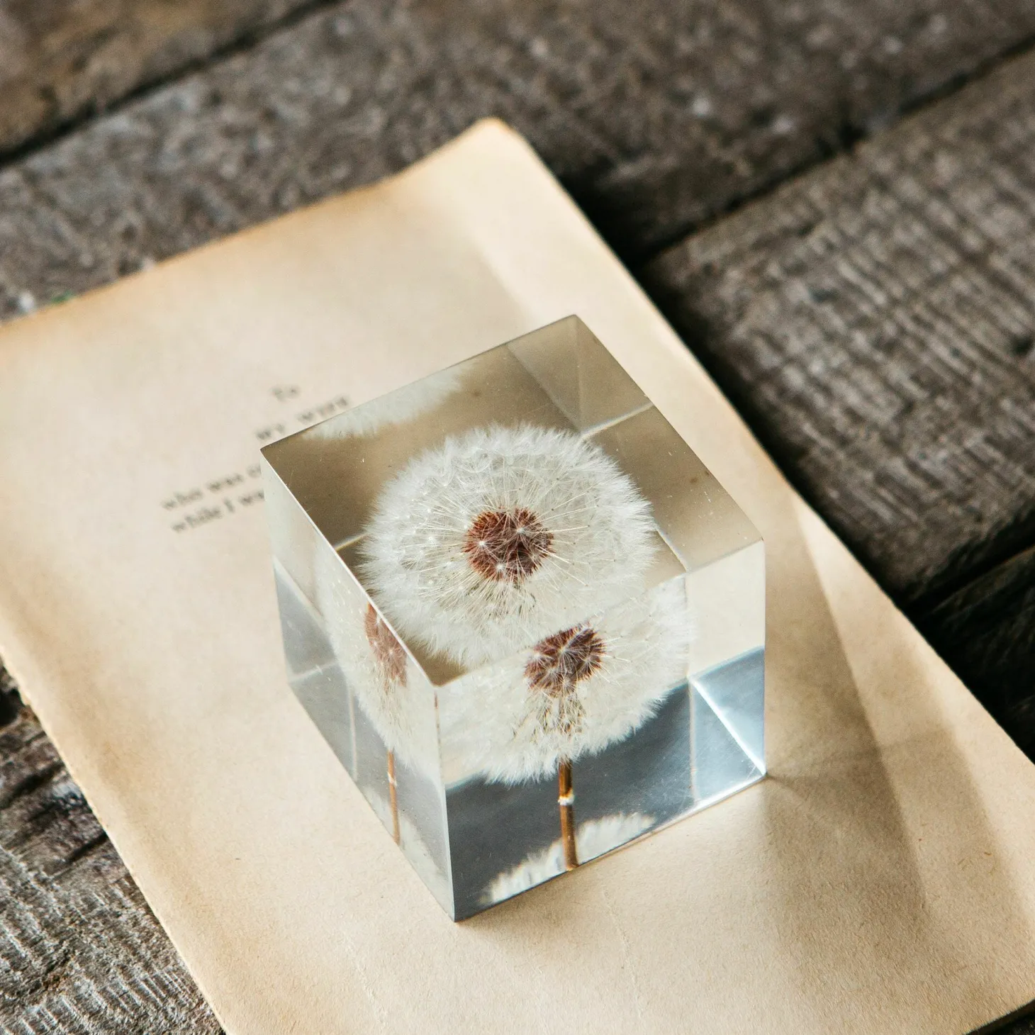 Dandelion Paperweight