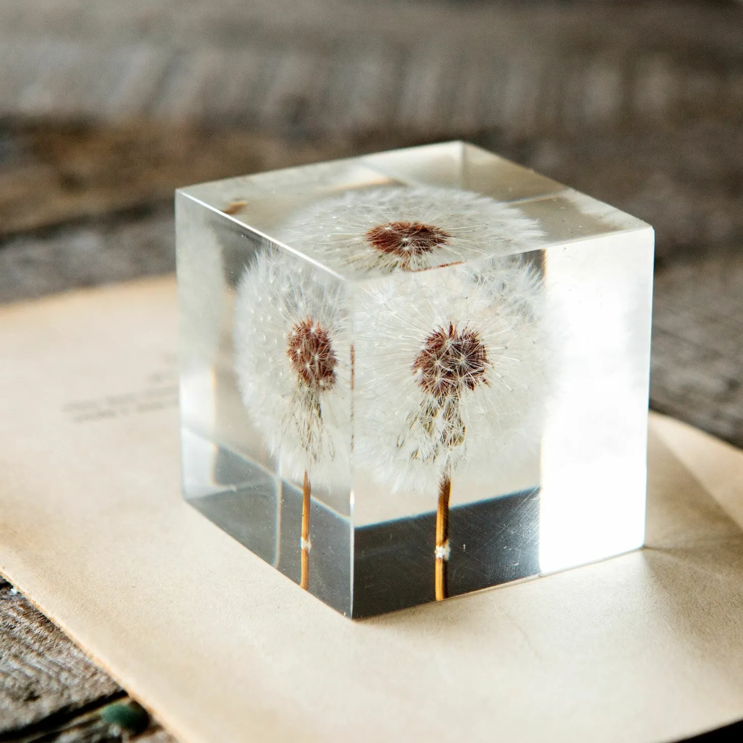 Dandelion Paperweight