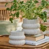 Distressed White Fluted Plant Pots
