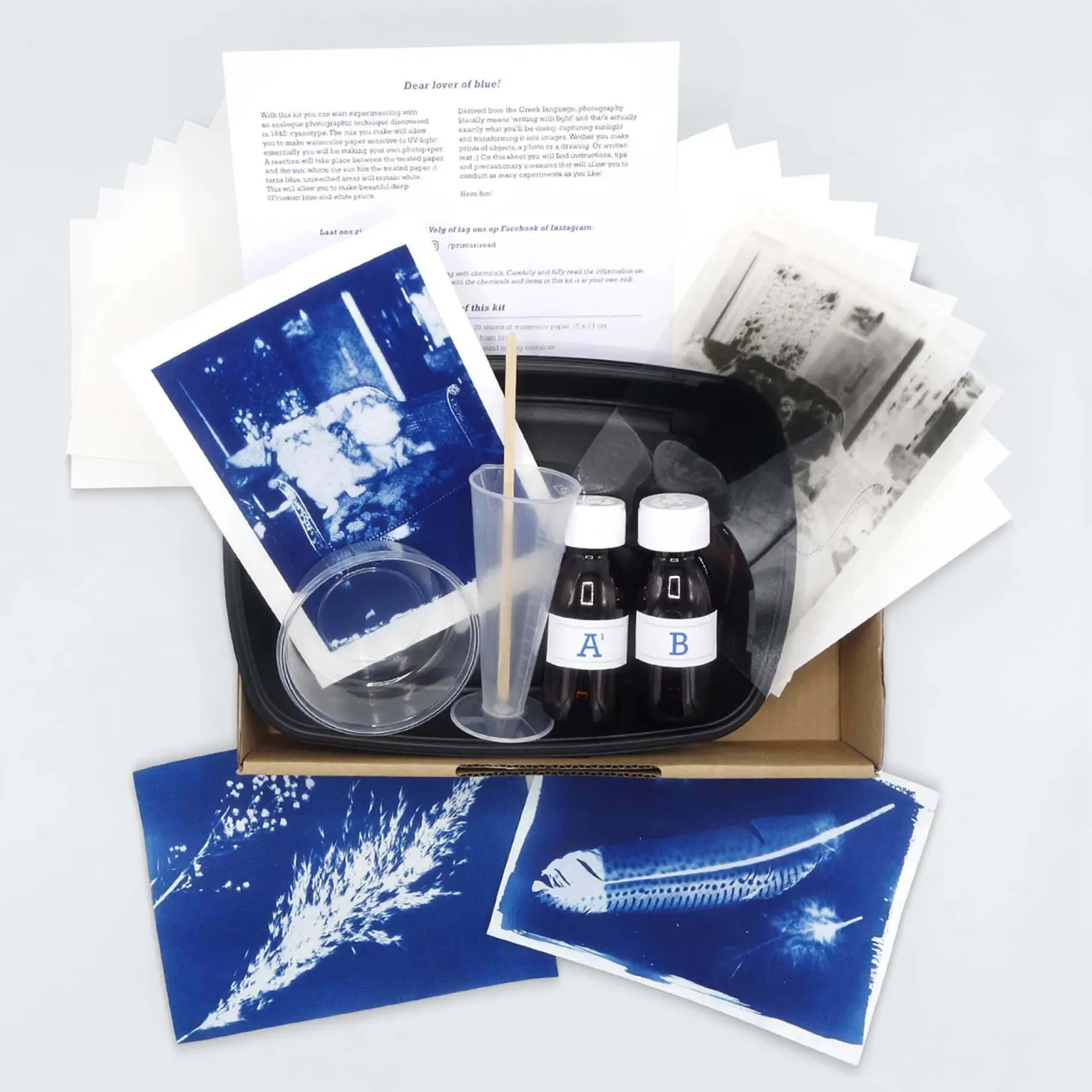 DIY Cyanotype Paper Kit