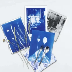 DIY Cyanotype Paper Kit