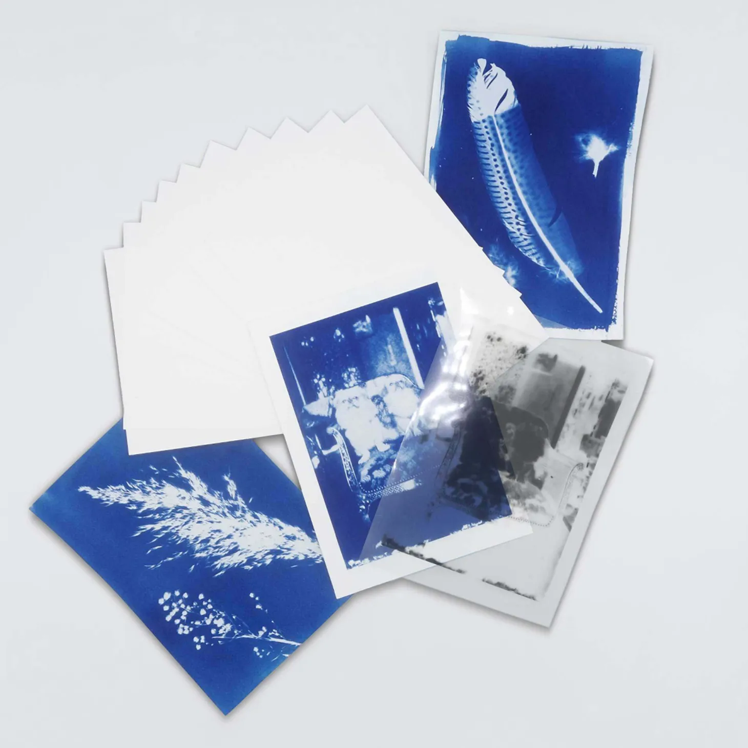 DIY Cyanotype Paper Kit