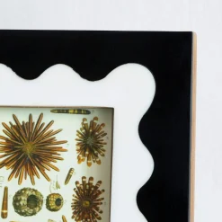 Extra Small Mont Blanc Black and White Frame