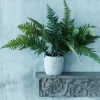Faux Fern Grass in Pot