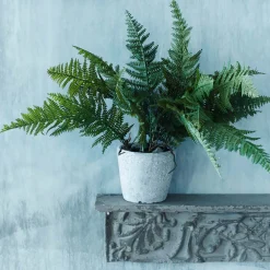 Faux Fern Grass in Pot