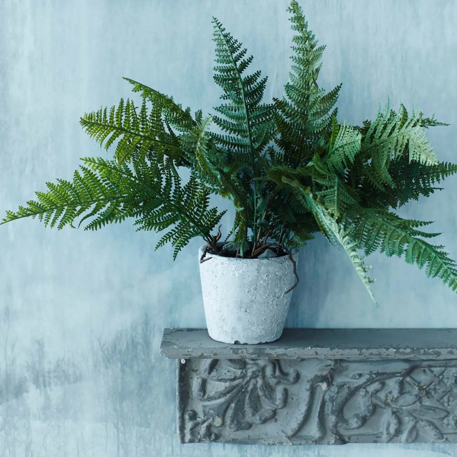 Faux Fern Grass in Pot