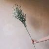 Faux Green Emoidi Branch