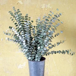 Faux Green Emoidi Branch
