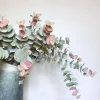 Faux Peach Tint Eucalyptus Spray