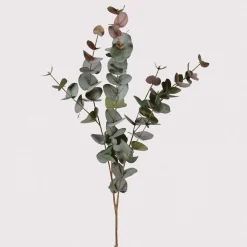 Faux Peach Tint Eucalyptus Spray