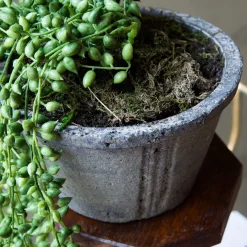 Faux String of Pearls in Pot