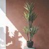 Faux Yucca Plant