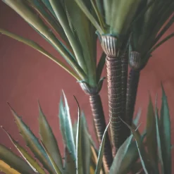 Faux Yucca Plant