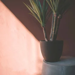 Faux Yucca Plant