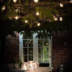 Festoon Lights