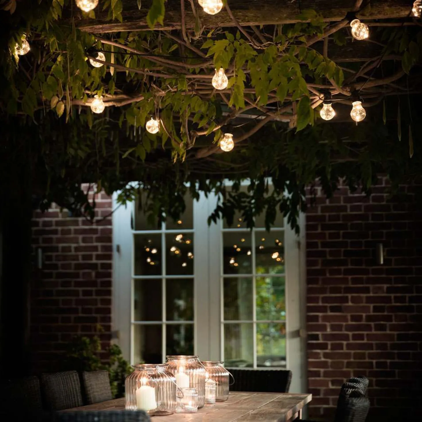 Festoon Lights